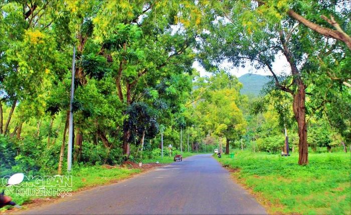 Return to Tay Ninh, visit the only ASEAN Heritage garden in the Southeast