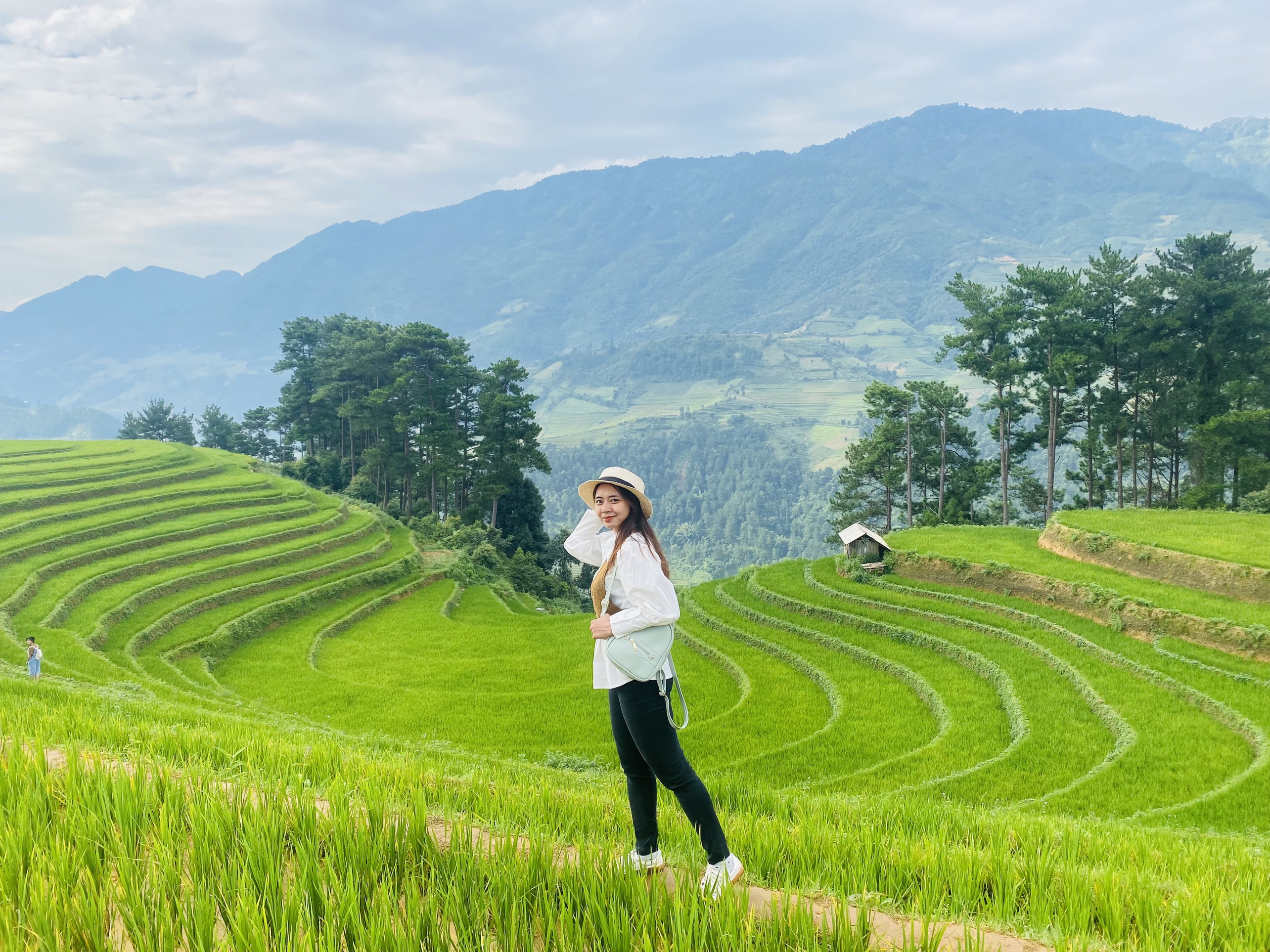 Đồi Móng Ngựa - Thiên Đường Ruộng Bậc Thang Giữa Đại Ngàn Tây Bắc