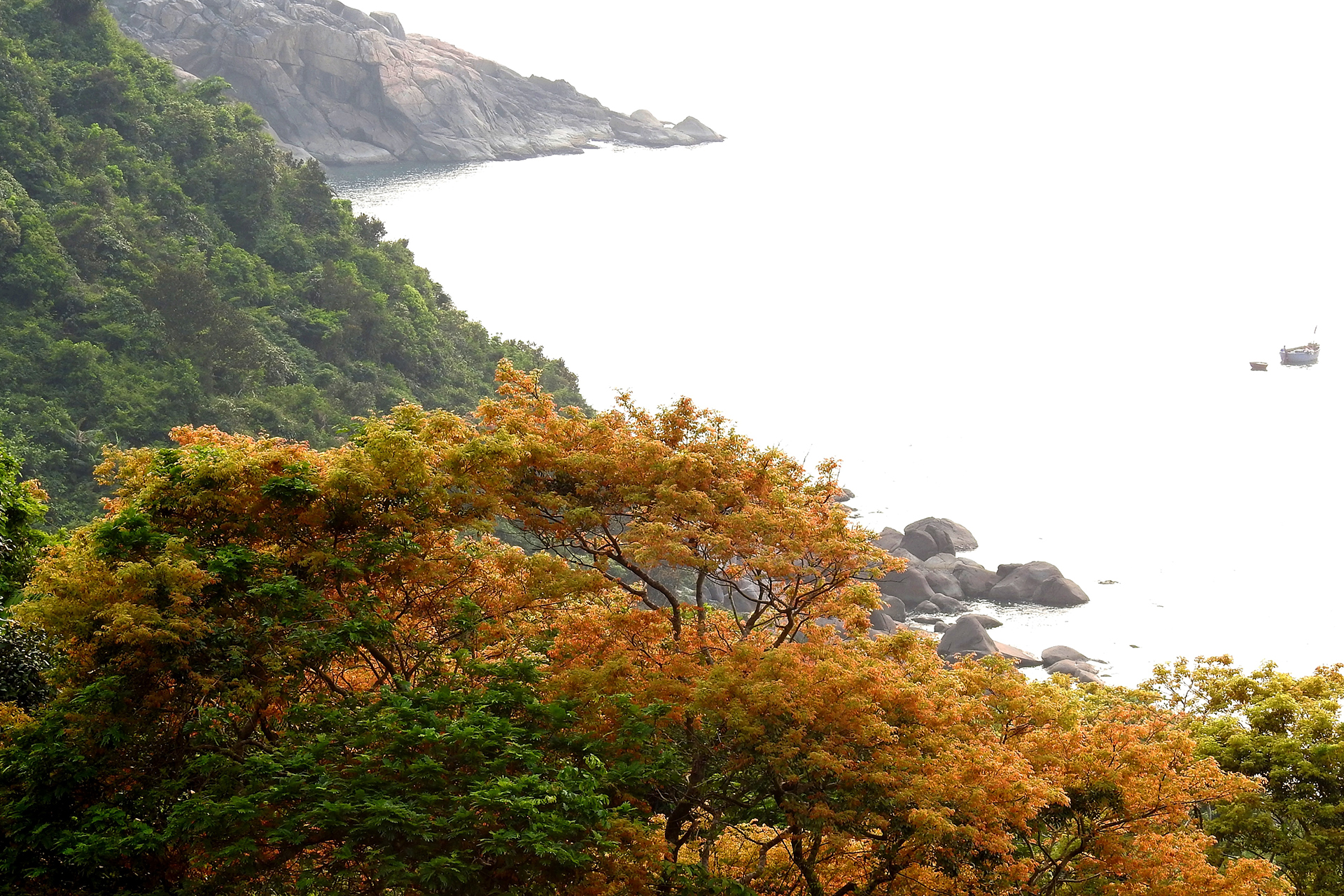 ソンチャ半島