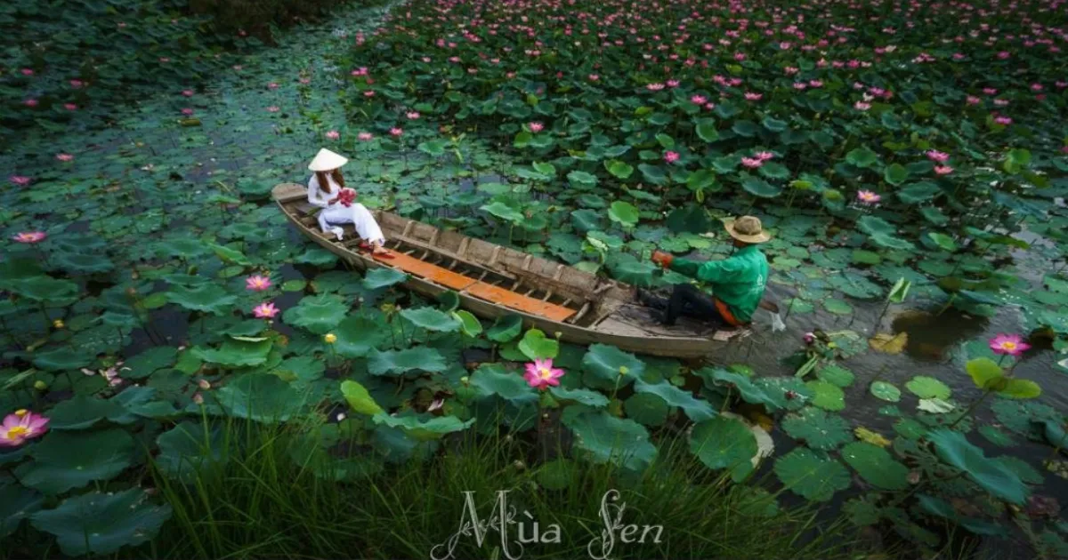 担大荷花池不仅是一个理想的虚拟居住地点。这里也是您在紧张的工作日后沉浸在大自然之中的合适场所。