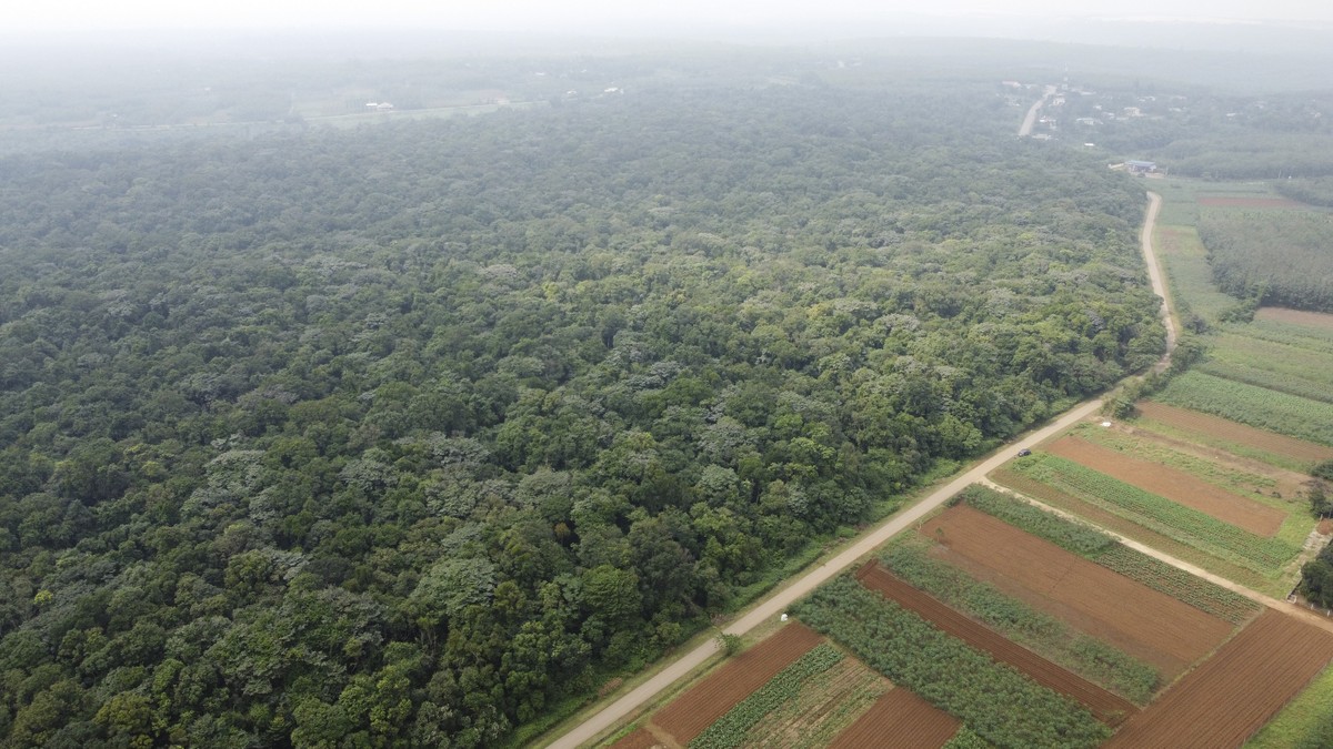 Ru Linh primeval forest