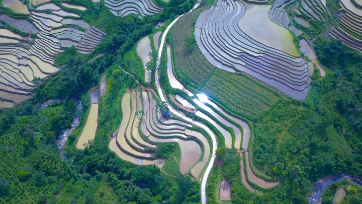 宏泰梯田