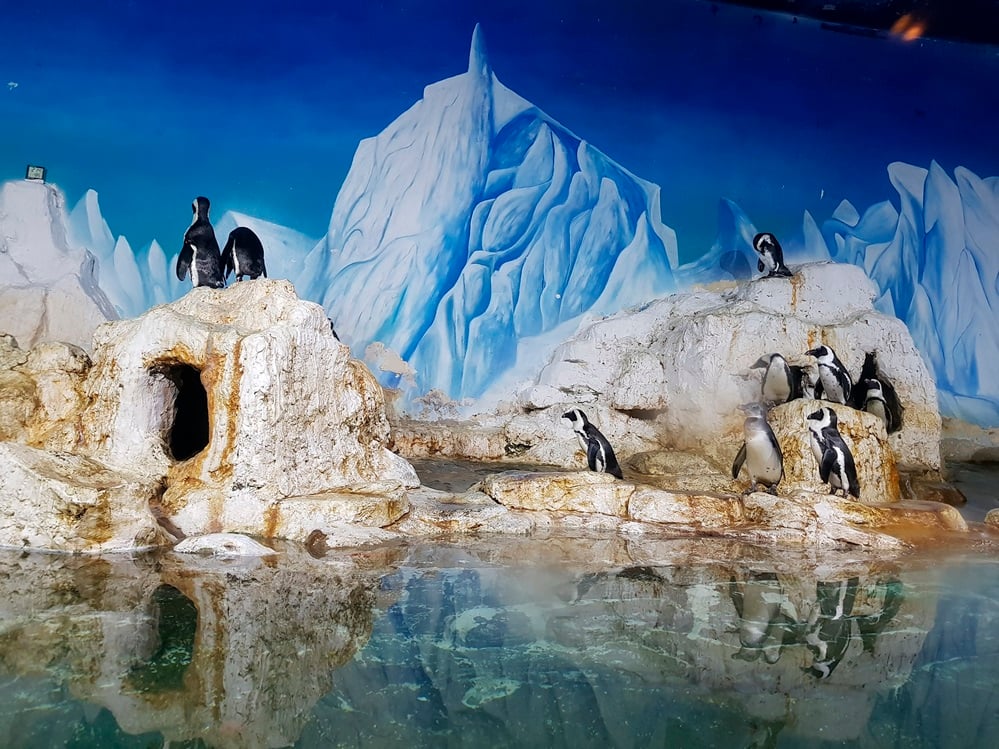 VinKE educational amusement park & ​​Times City Hanoi Aquarium