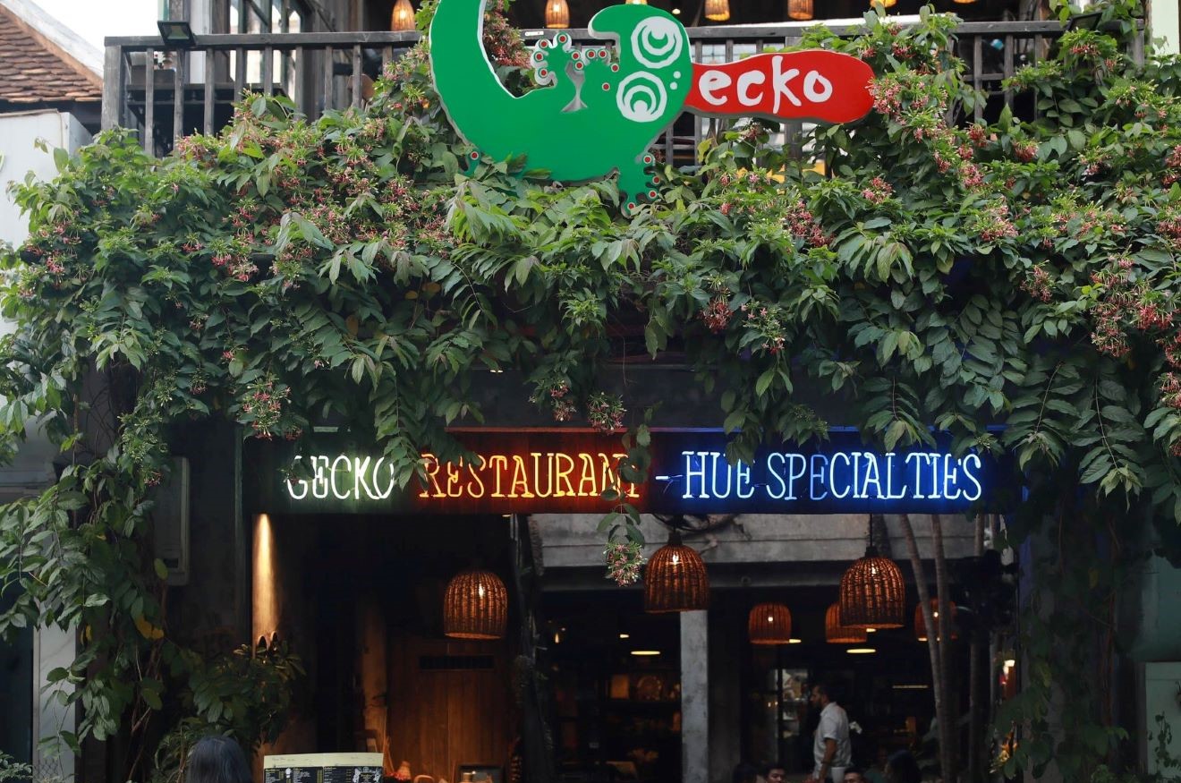 Một Ngày Thư Giãn Tại Gecko Café: Kết Hợp Ẩm Thực Và Không Gian Tuyệt Vời