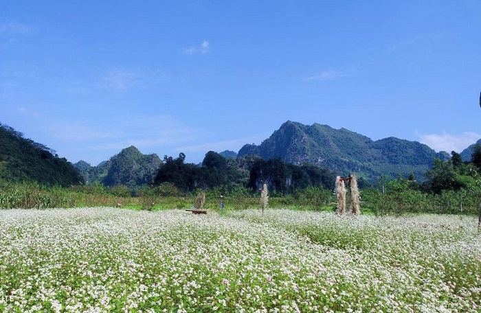 Garden owners have built small huts and bridges for tourists to freely take photos.