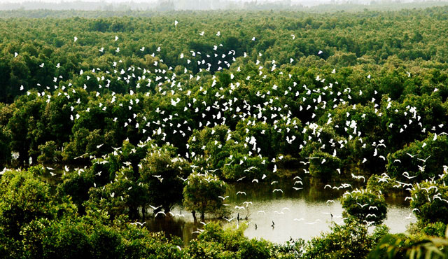 Bang Lang stork garden