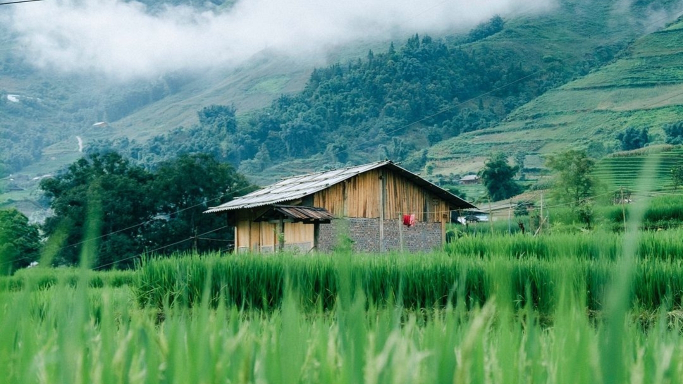 Bản Ta Van - Điểm Đến Hoàn Hảo Cho Những Tâm Hồn Yêu Thiên Nhiên