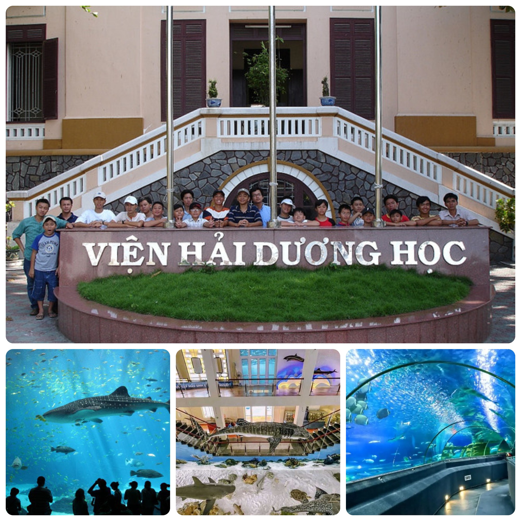 KHÁM PHÁ ĐẠI DƯƠNG KỲ DIỆU TẠI VIỆN HẢI DƯƠNG HỌC NHA TRANG