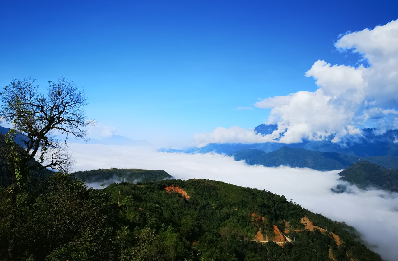 新和高原