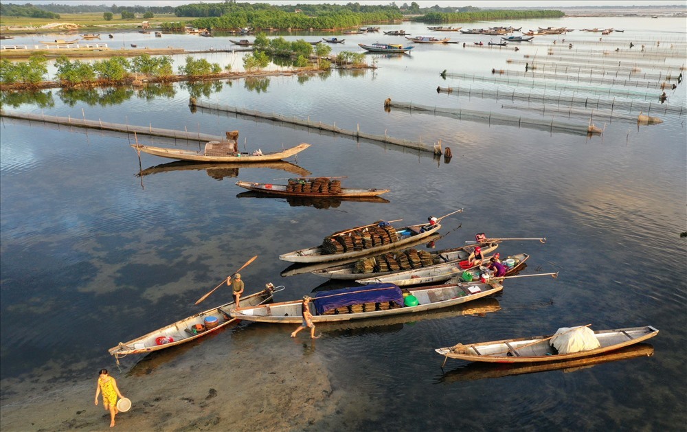 Khám Phá Chợ Nổi Ngư Mỹ Thạnh: Vẻ Đẹp Hoang Sơ Của Miền Sông Nước Huế