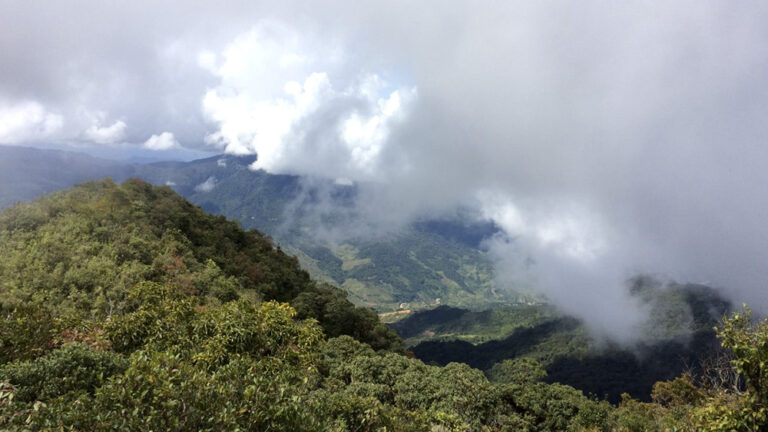 Ngoc Linh Mountain - roof of the Central Highlands