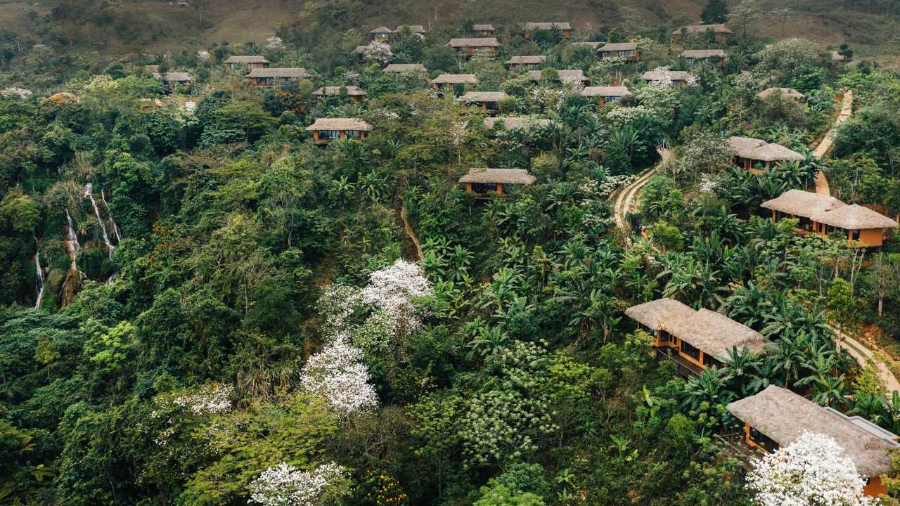 Rừng nguyên sinh Avana Retreat