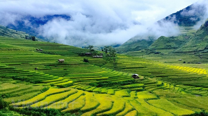 Mu Cang Chai