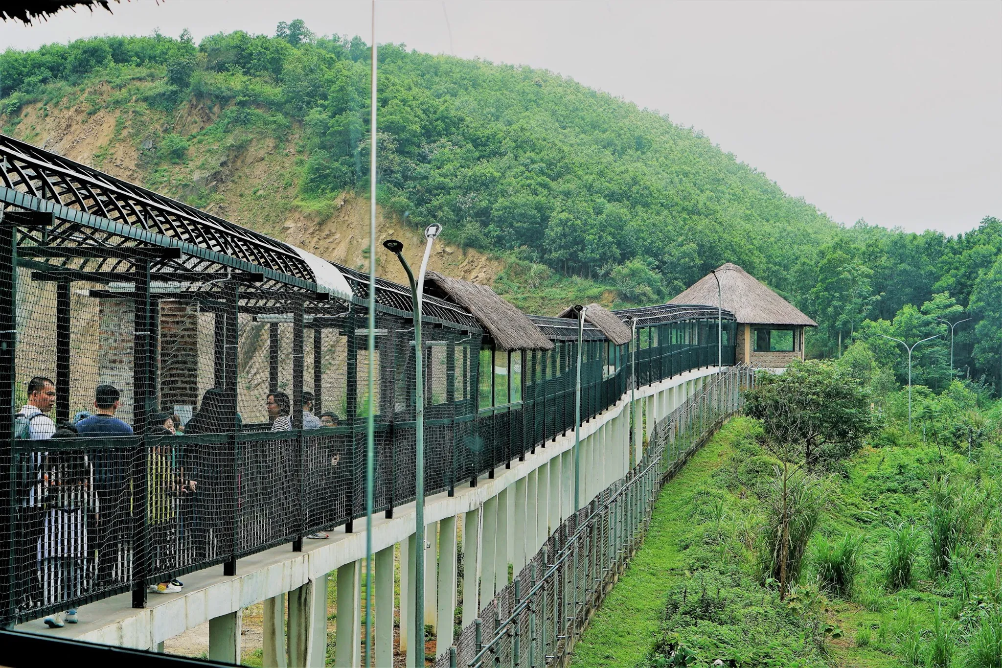 宁平熊保护基地