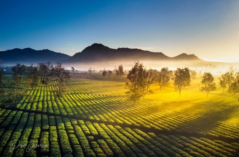 去边和车旅游，一定要一大早就去，看路上云雾缭绕，给人一种迷离的感觉，非常令人印象深刻。