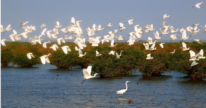 Xuan Thuy National Park