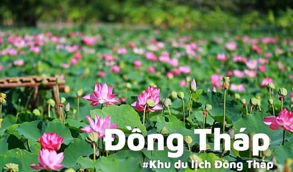 KHÁM PHÁ NHỮNG ĐIỂM DU LỊCH NỔI TIẾNG TẠI ĐỒNG THÁP