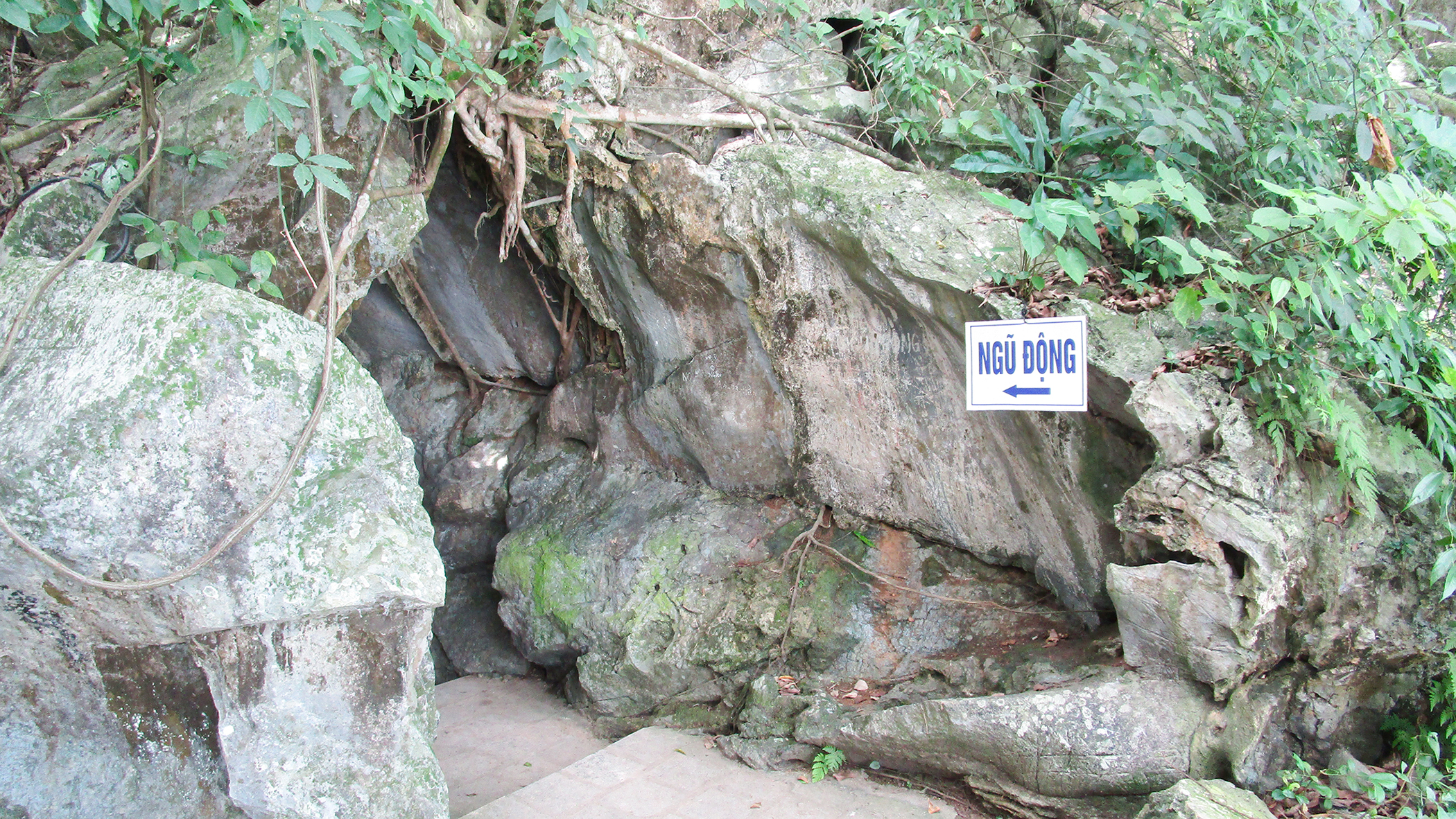 特鲁克寺