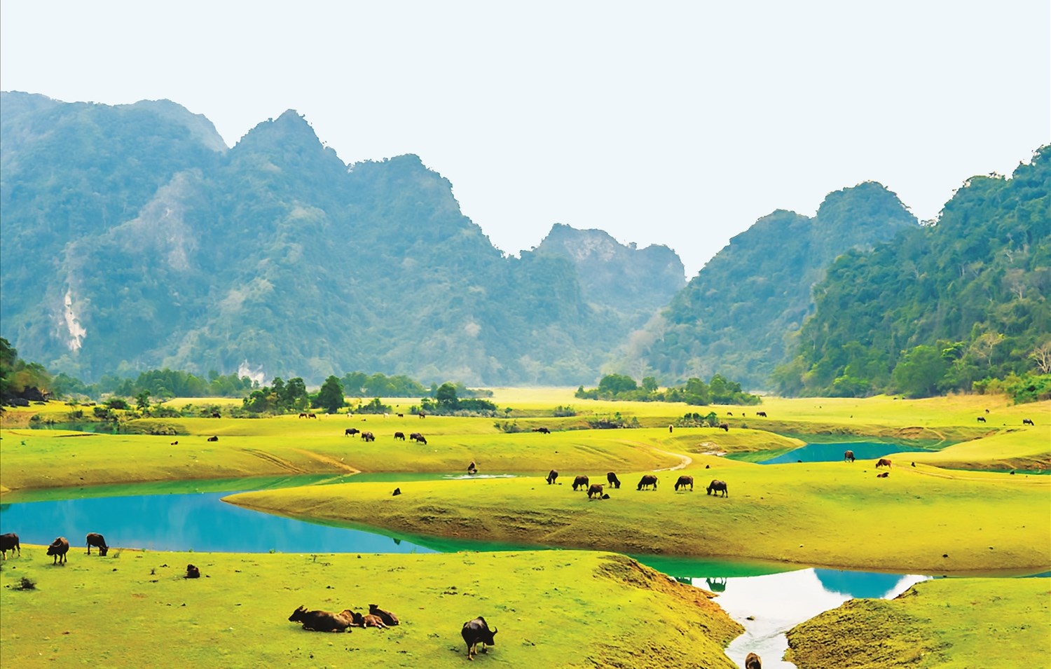 Thảo nguyên Đồng Lâm - nơi giải nhiệt lý tưởng cho mùa hè ở Lạng Sơn