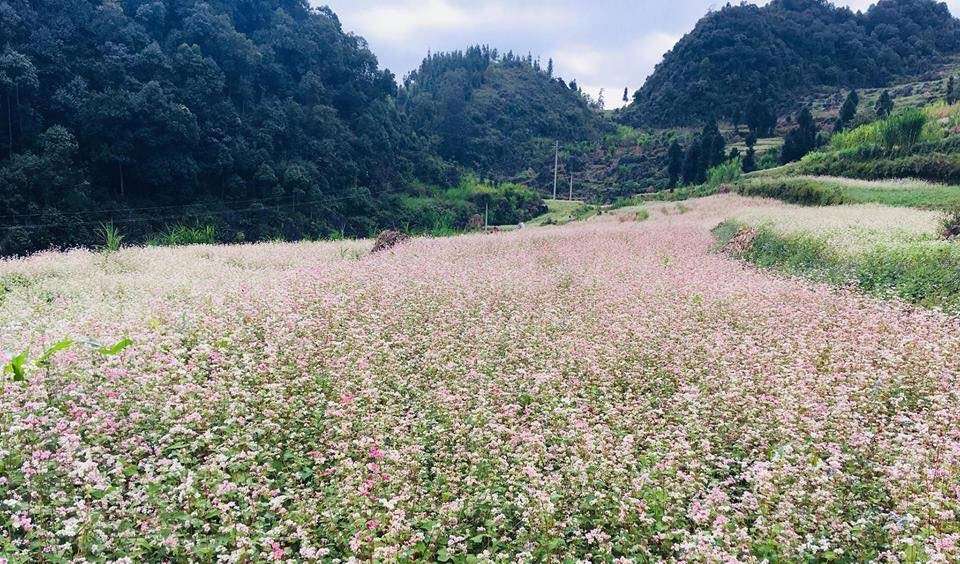 卢丹公社谭嘉马赫山