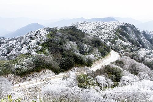 Phia Oac National Forest - Phia Den on a snowy day