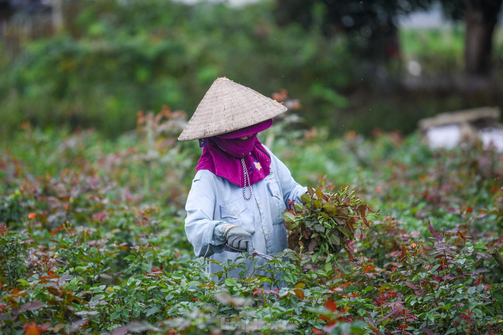 美灵花村