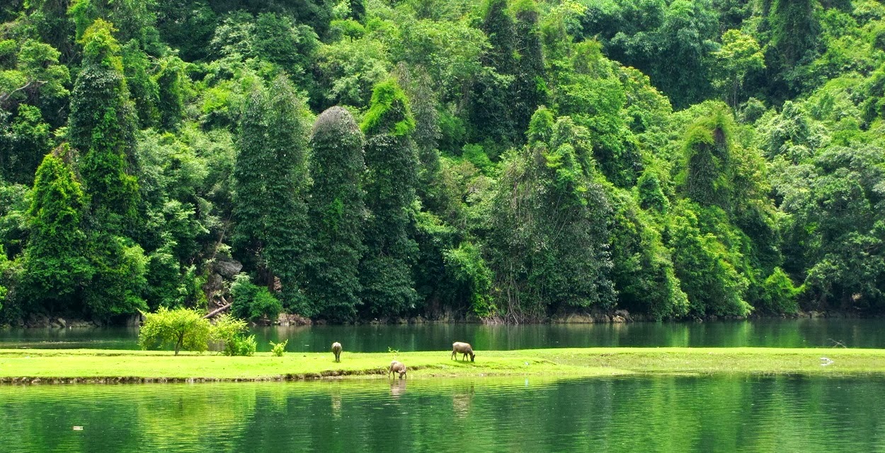 Peaceful corner in Ba Be National Park