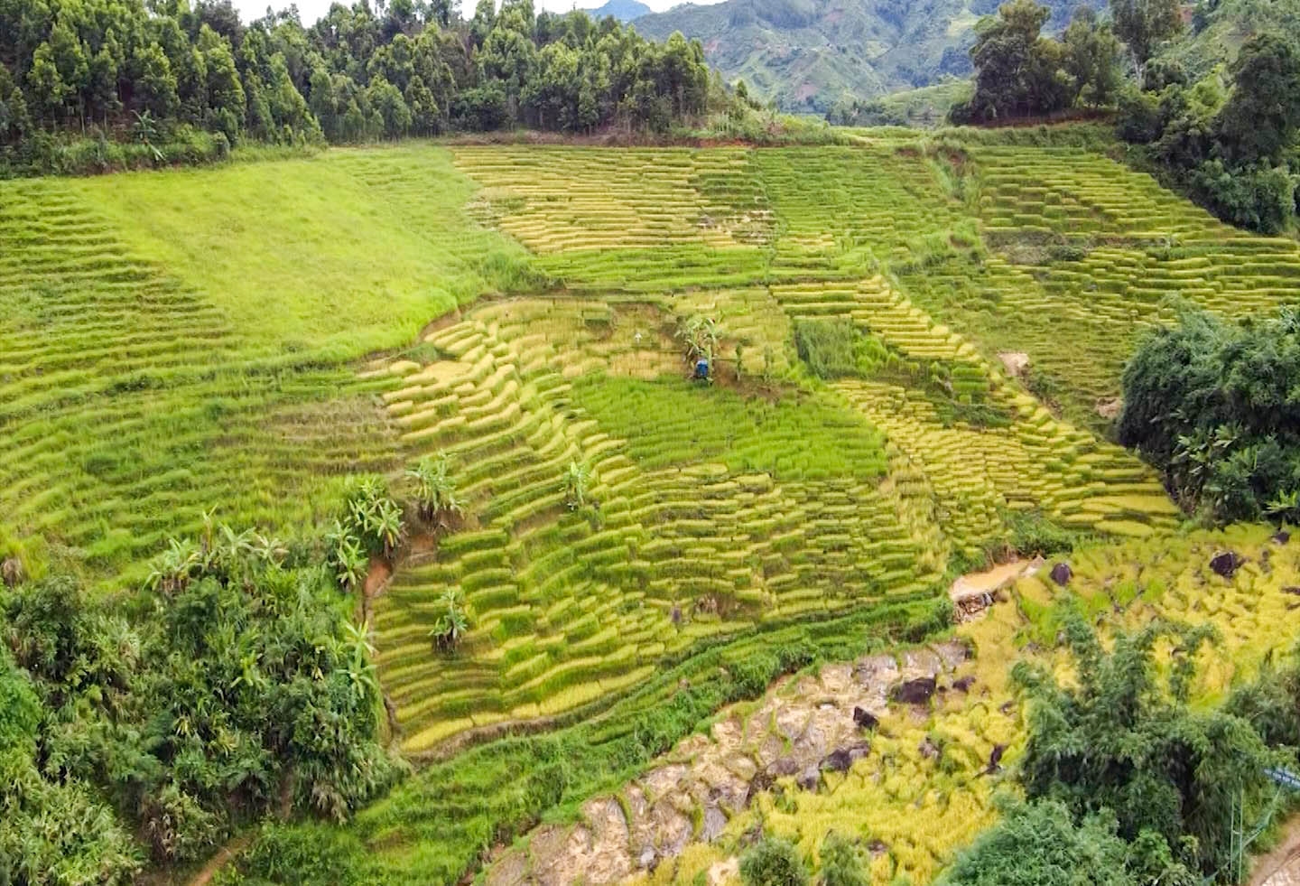 随着高原地区旅游业的突出发展，您可以乘坐多种交通工具来到这里。