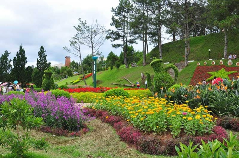 Dalat City Flower Garden