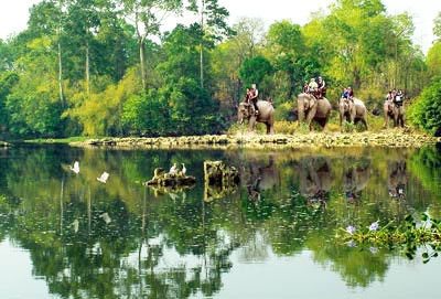 Yok Don National Park