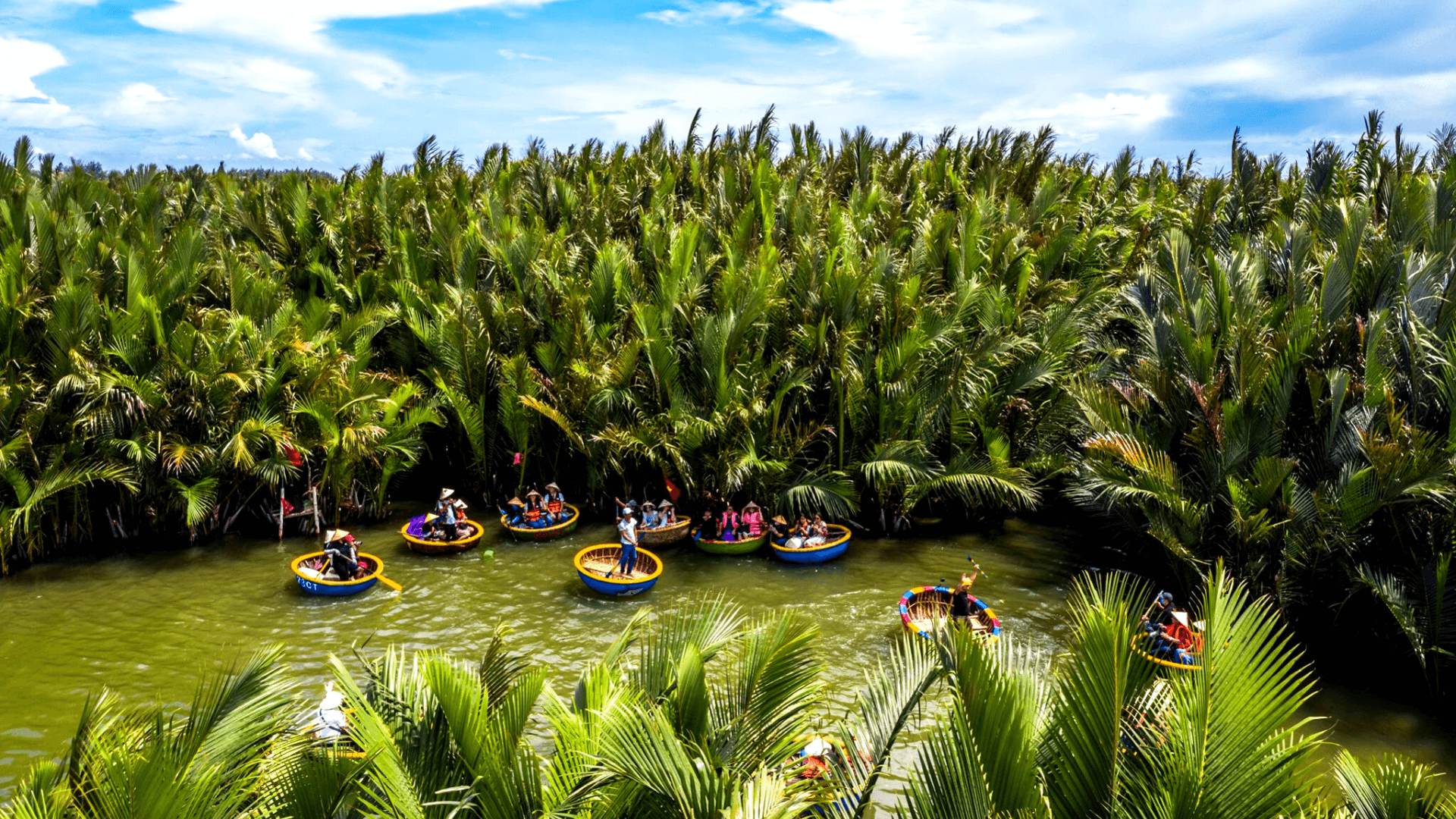 Seven-acre coconut forest