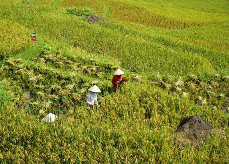 Bản Lác Mai Châu