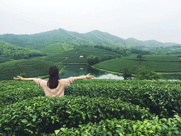 参观新疆茶文化空间，你会有很多难忘的经历。