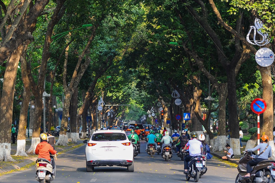 Khám phá Phố Phan Đình Phùng: Con đường lãng mạn nhất Thủ đô