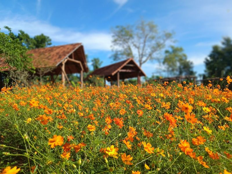 Troh Bu Ecotourism Area