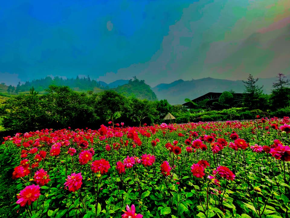 北河花谷四季鲜花盛开，花种繁多