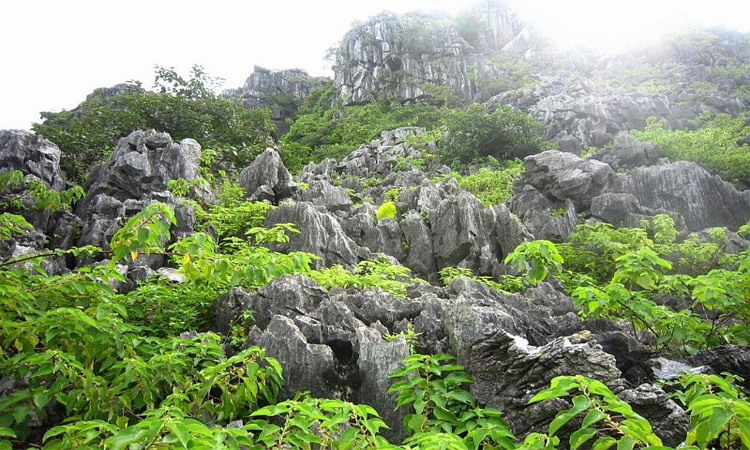 Elephant Mountain - the earliest relic present in Hai Phong