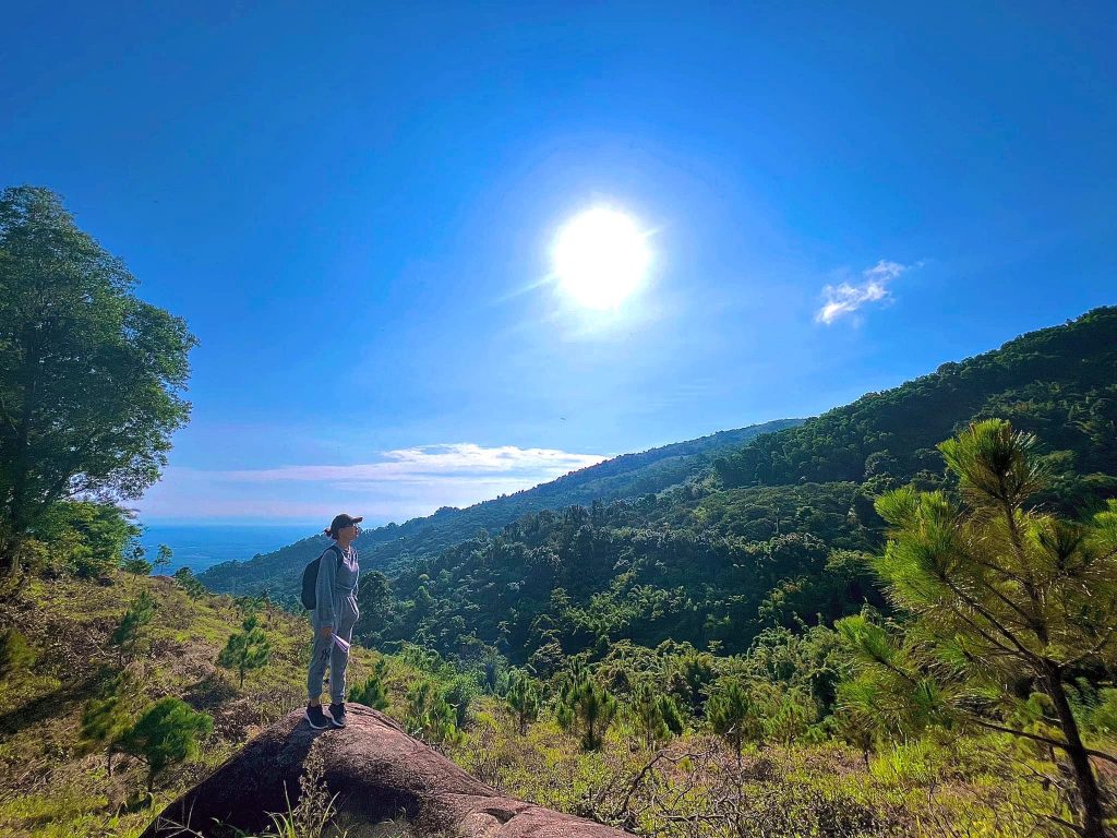 蔡禅山