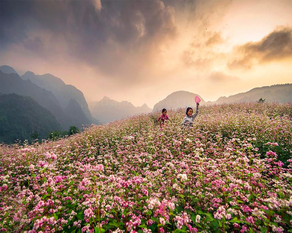 哪个季节去河江最好？