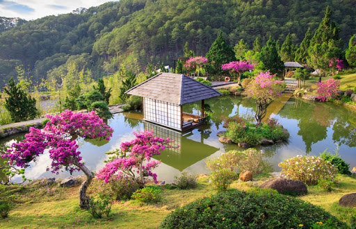 Da Lat Thousand Flowers