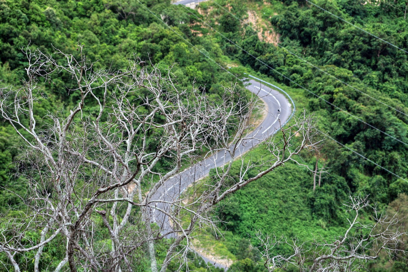 Ngoan Muc Pass was built to connect the South Central provinces to the Central Highlands region