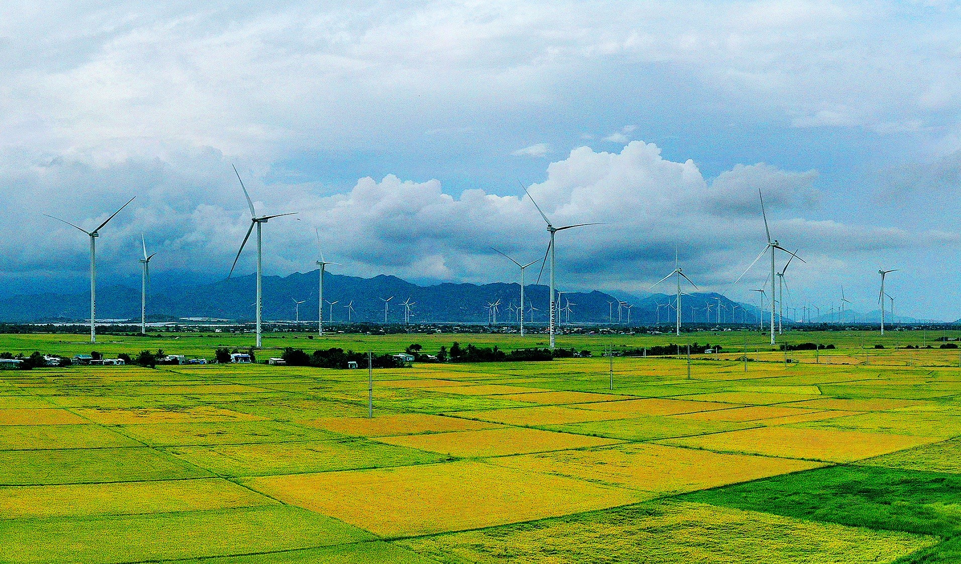 Dam Nai wind power field has a quite large area, up to 9.6 hectares.