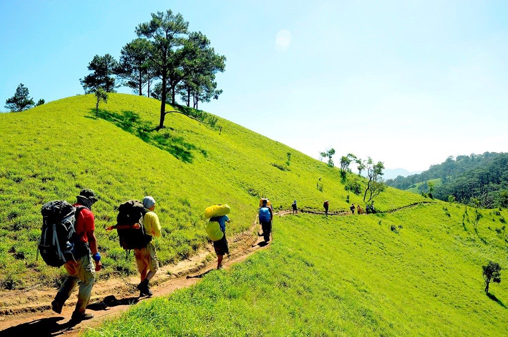 Tà Năng - Phan Dũng: Cung đường trekking đẹp nhất Việt Nam