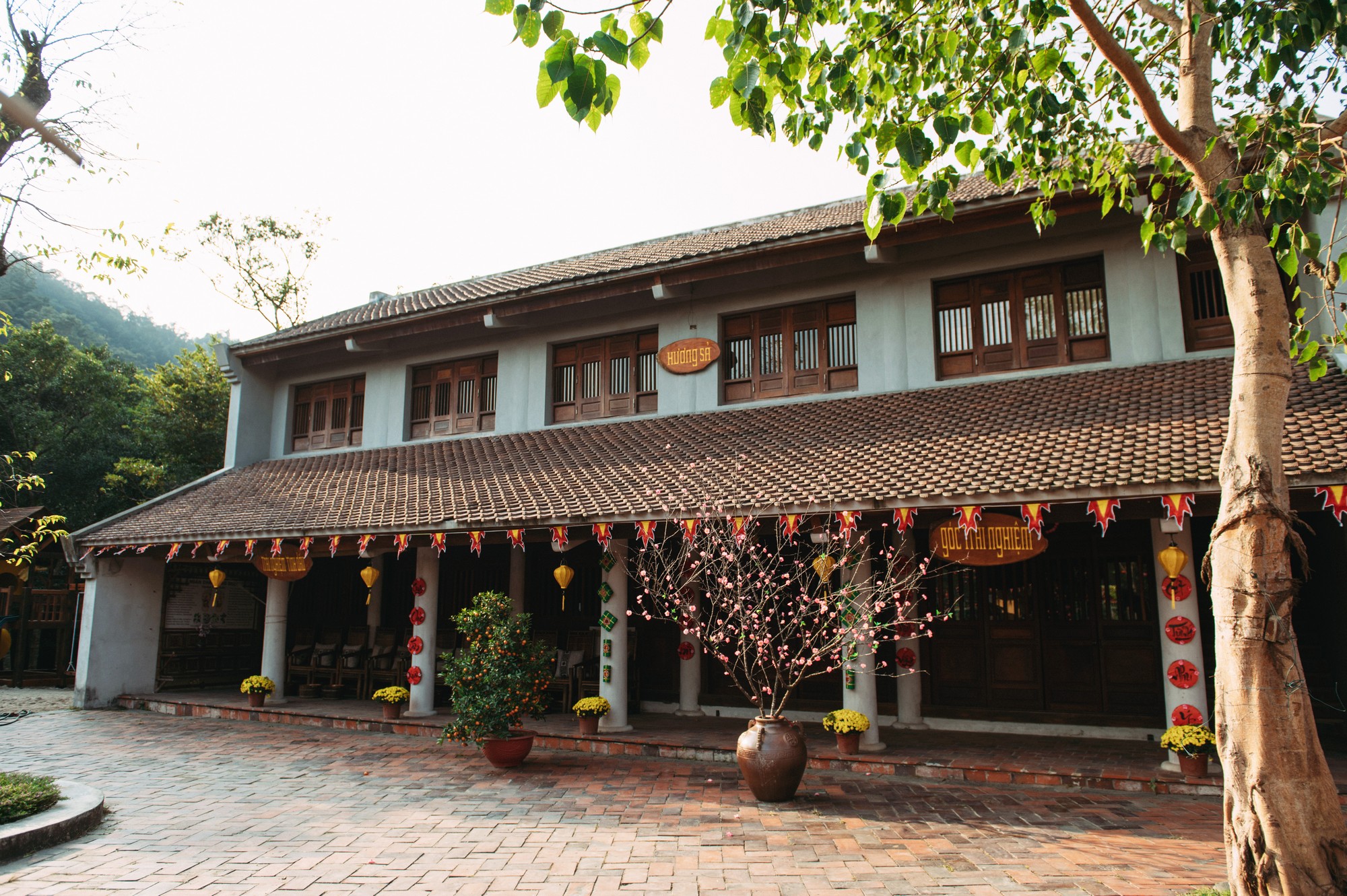 Classic Standard Room: Grapefruit/Huong Bai/Areca Huong