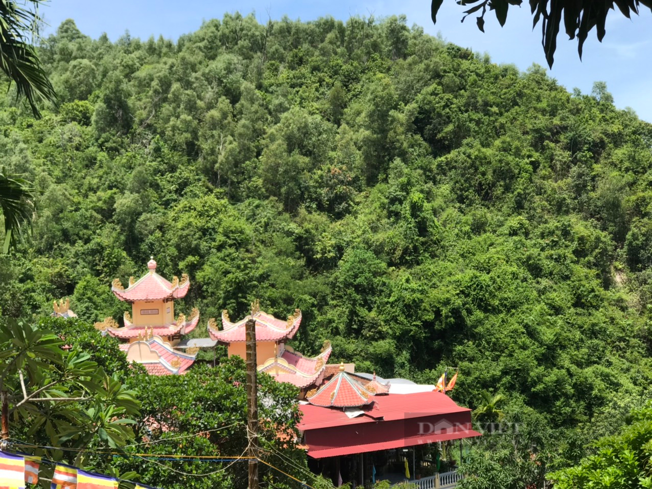 Suoi Do Pagoda