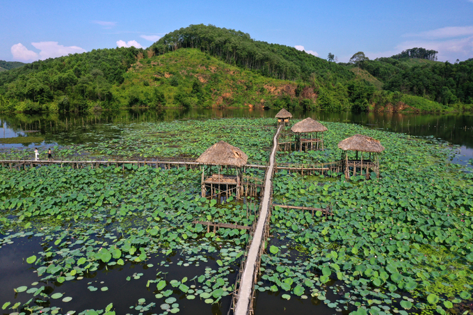 Đầm sen Vân Hội