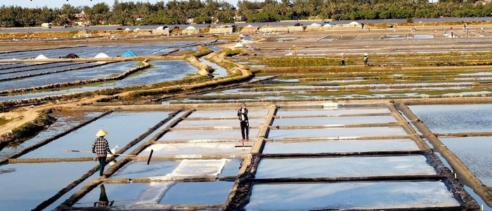 The image of a farmer in the Sa Huynh salt field