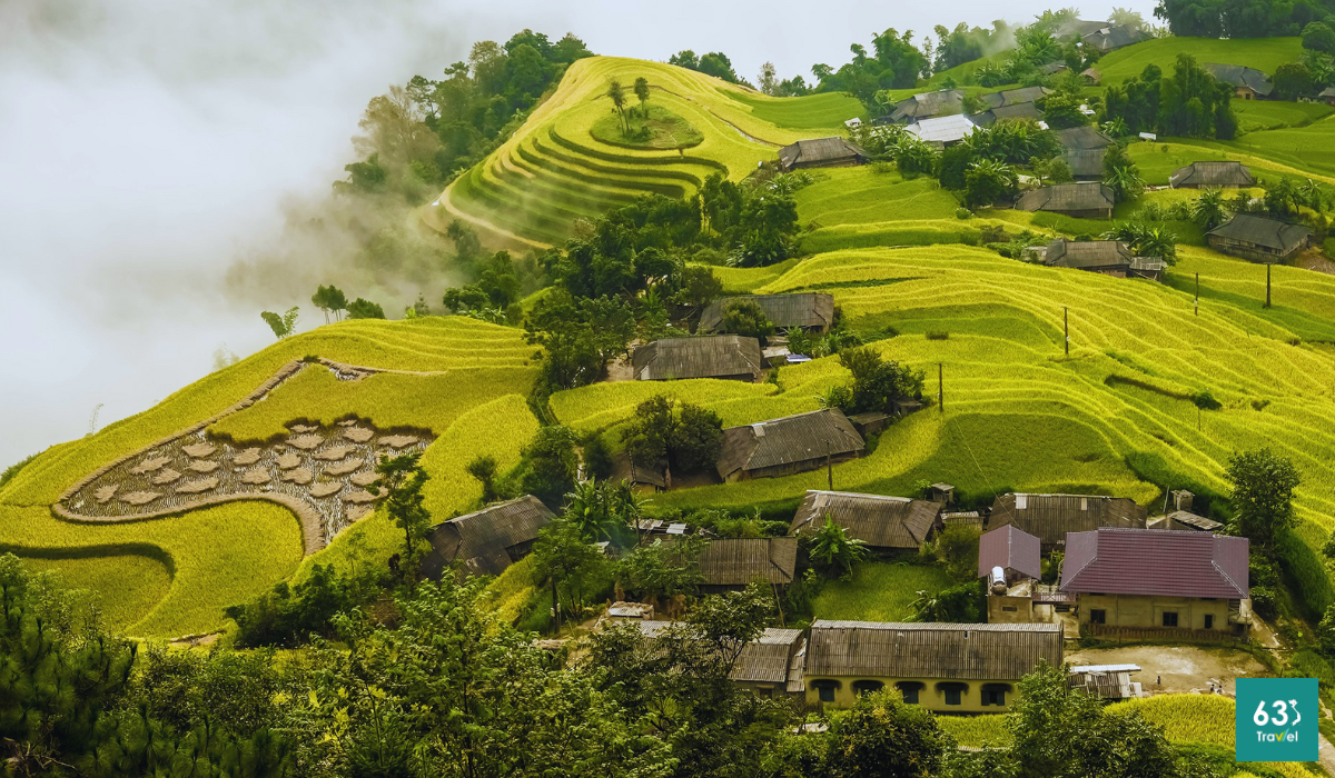 Mùa lúa chín Hoàng Su Phì - Đã đi là không muốn về