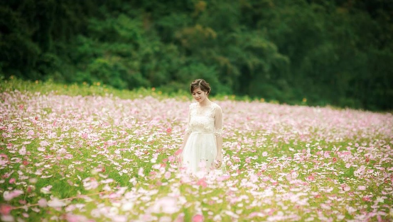 Tourists take photos at Bac Son flower garden