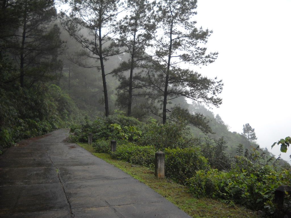 The road to Hong Linh mountain